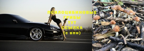 марки lsd Инта
