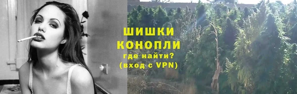 твердый Иннополис
