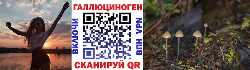 Купить закладки  Дальнереченск  Псилоцибиновые грибы ЛСД 